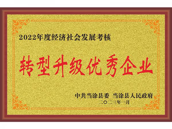 轉(zhuǎn)型升級優(yōu)秀企業(yè)